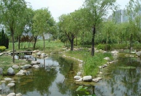 湿地公园图片 第3张