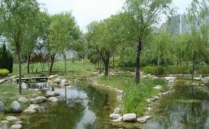 湿地公园图片 第3张