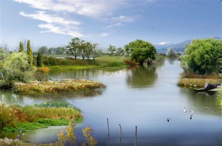 湿地公园图片 第2张