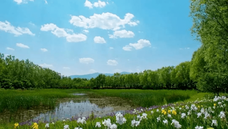 湿地公园图片 第4张