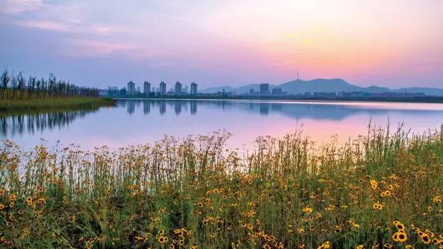 湿地公园图片 第7张