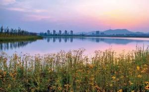湿地公园图片 第7张