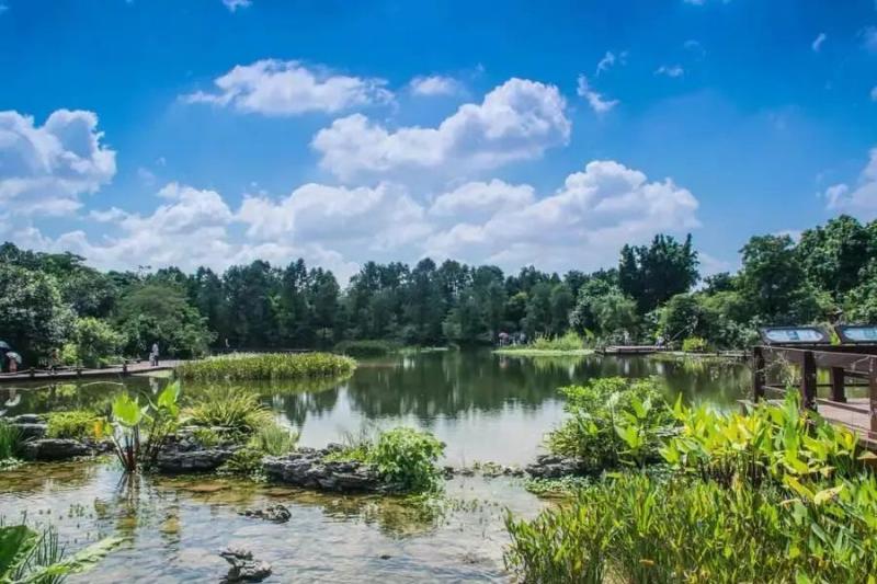 湿地公园图片 第9张