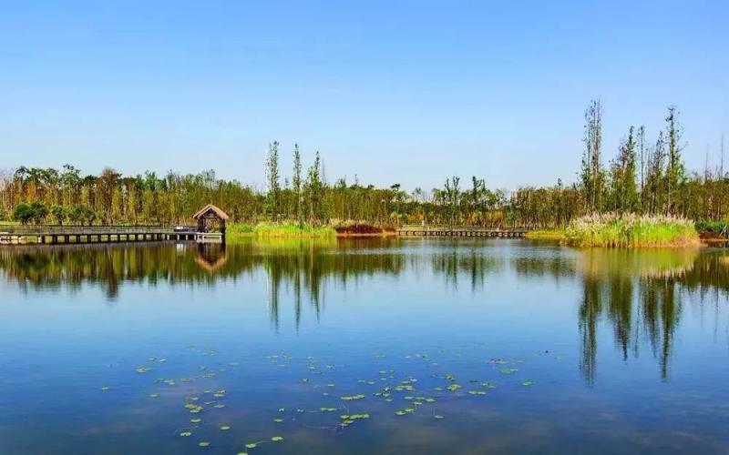 湿地公园图片 第8张