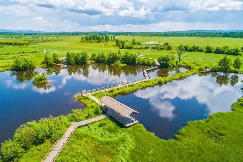 湿地公园图片 第10张