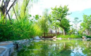 湿地公园图片 第13张