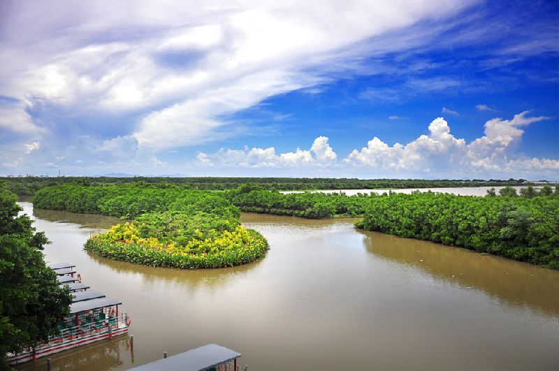 湿地公园图片 第12张