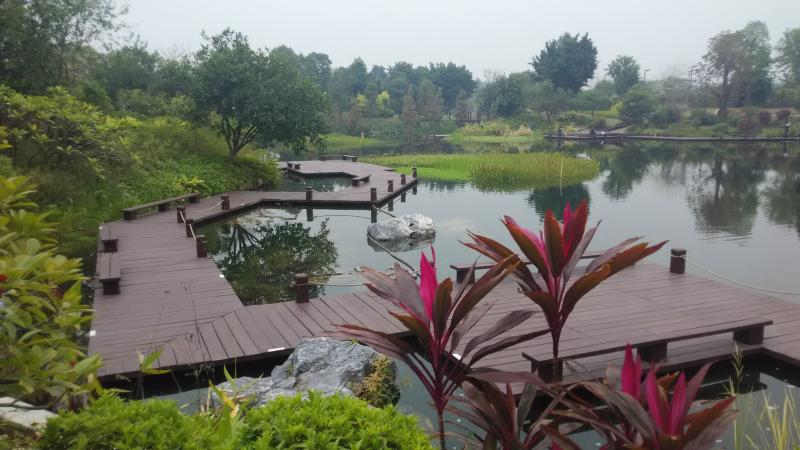 广州湿地公园图片 第4张