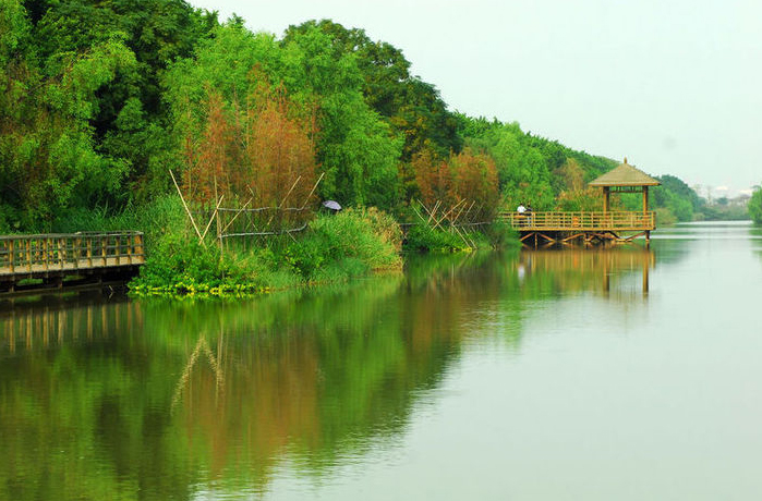 广州湿地公园图片 第3张
