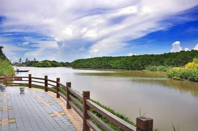 广州湿地公园图片 第6张