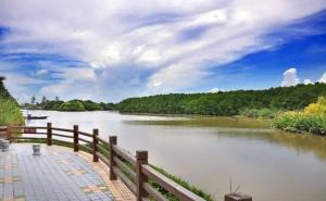 广州湿地公园图片 第6张