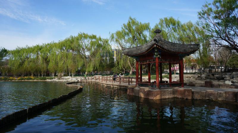 陶然亭公园图片 第6张