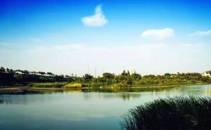 贾鲁河公园图片 第5张