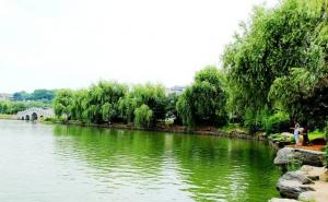 东湖公园图片