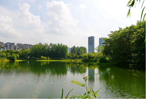 东湖公园图片 第2张