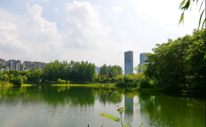 东湖公园图片 第2张