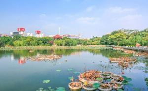 东湖公园图片 第7张