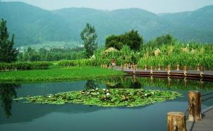 西昌湿地公园图片 第2张