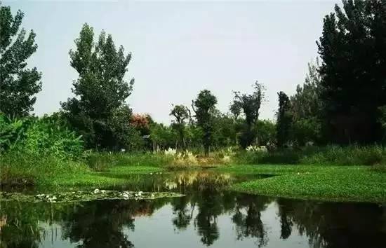 西昌湿地公园图片 第3张
