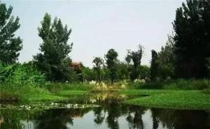 西昌湿地公园图片 第3张