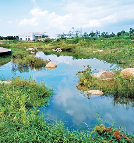 合肥湿地公园图片 第1张