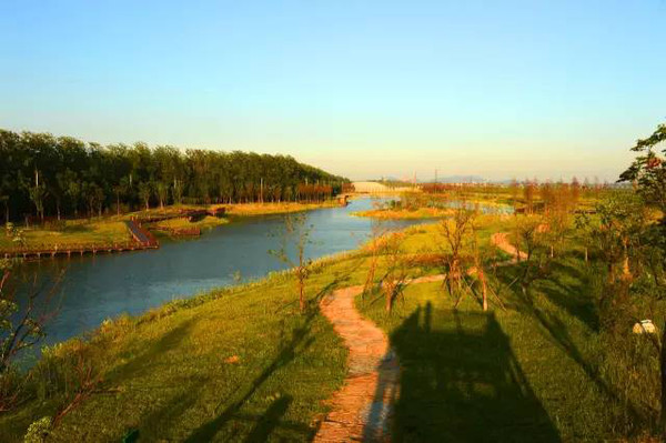 合肥湿地公园图片 第2张