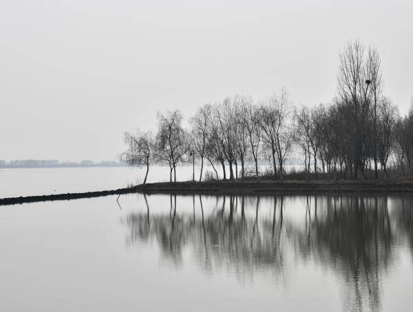 合肥湿地公园图片 第6张