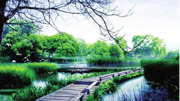 合肥湿地公园图片 第4张