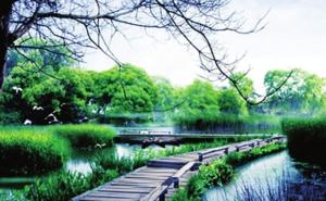 合肥湿地公园图片 第4张