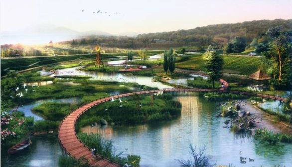 合肥湿地公园图片 第3张