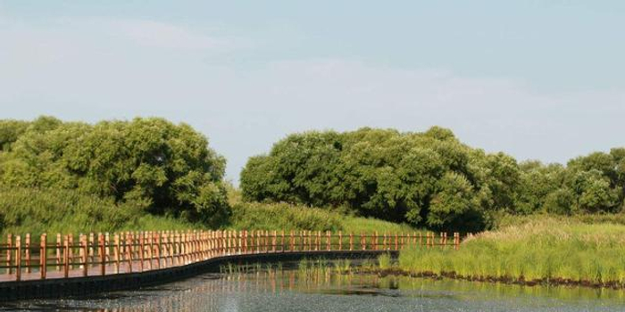 合肥湿地公园图片 第5张