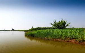 杭州湾湿地公园图片 第2张
