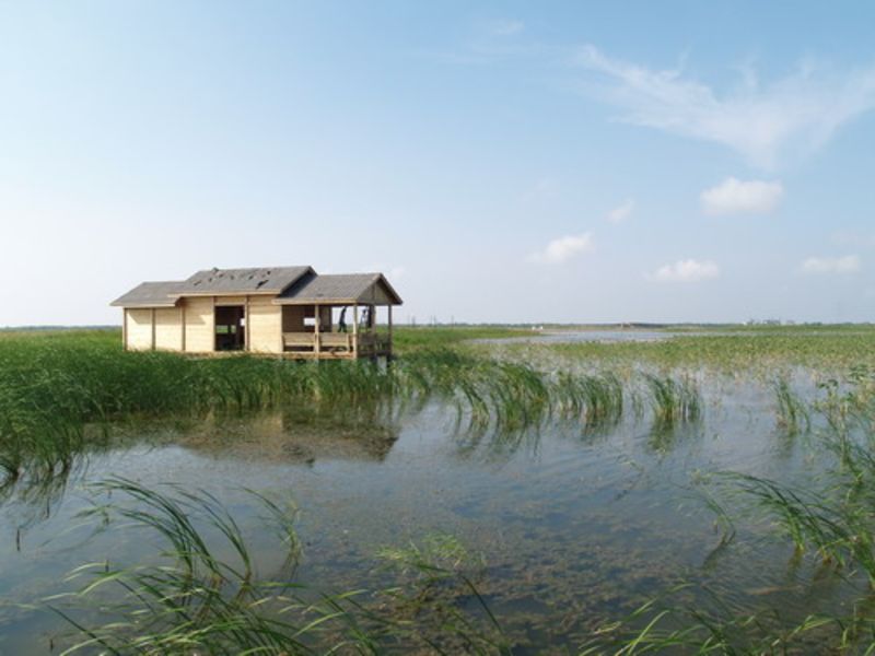杭州湾湿地公园图片 第1张