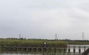 杭州湾湿地公园图片 第5张