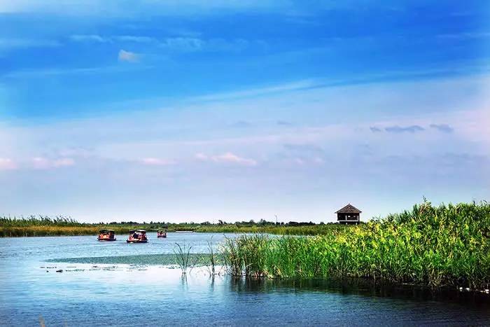 杭州湾湿地公园图片 第6张