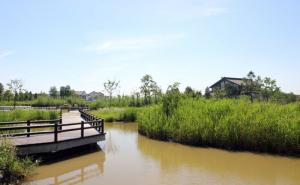 杭州湾湿地公园图片 第7张