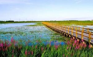 杭州湾湿地公园图片 第9张