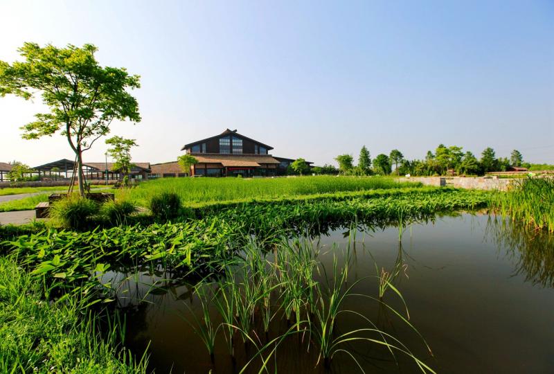 杭州湾湿地公园图片 第12张