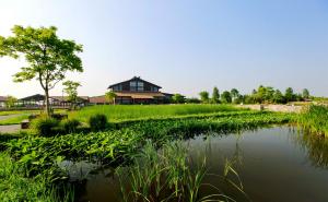 杭州湾湿地公园图片 第12张