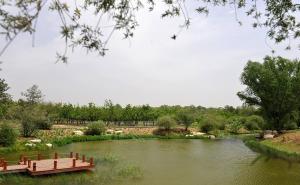 榆次湿地公园图片
