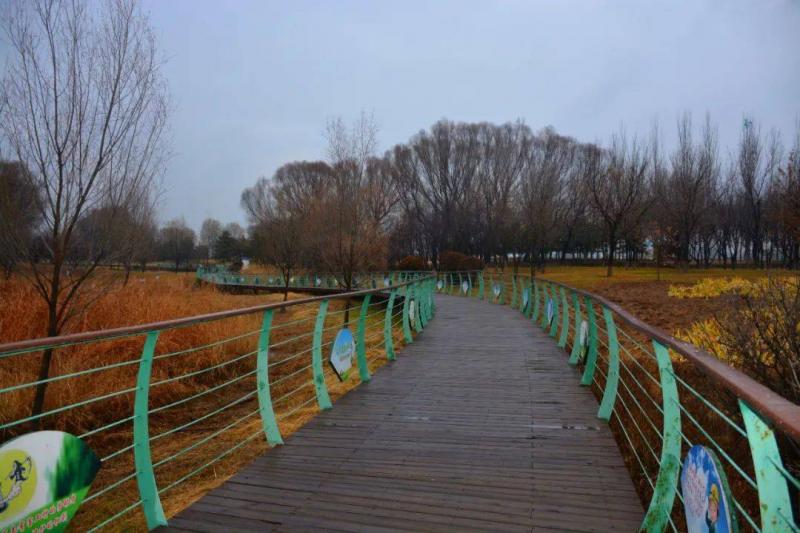 榆次湿地公园图片 第8张