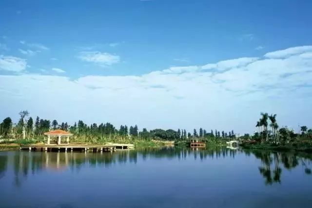 东莞湿地公园图片 第2张