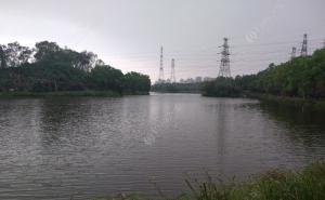 东莞湿地公园图片 第4张