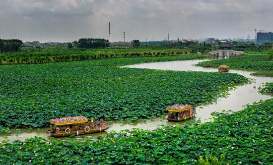 东莞湿地公园图片 第6张