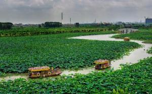 东莞湿地公园图片 第6张