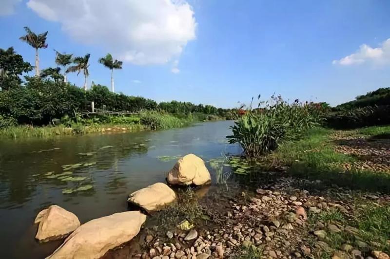东莞湿地公园图片 第5张