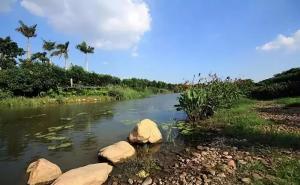 东莞湿地公园图片 第5张