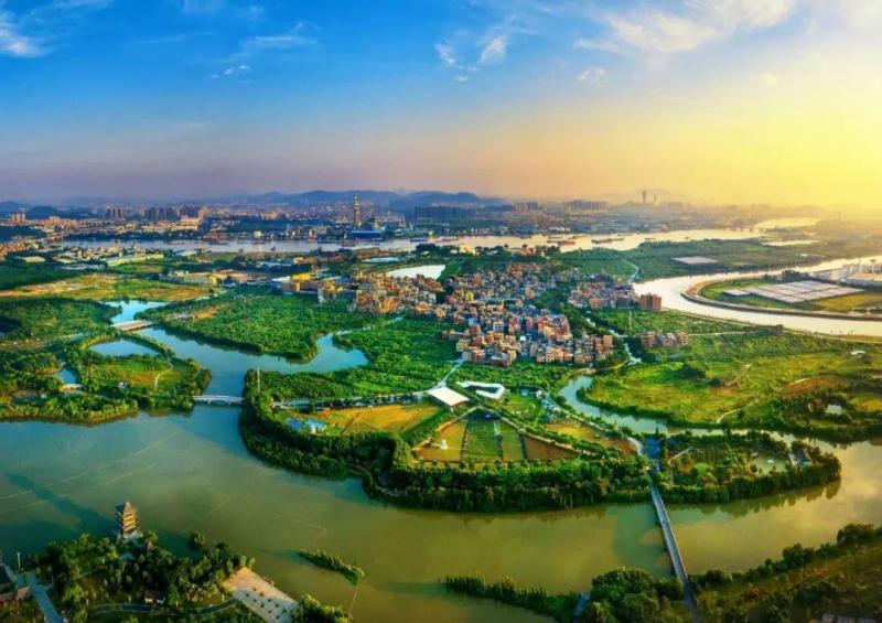 东莞湿地公园图片 第7张