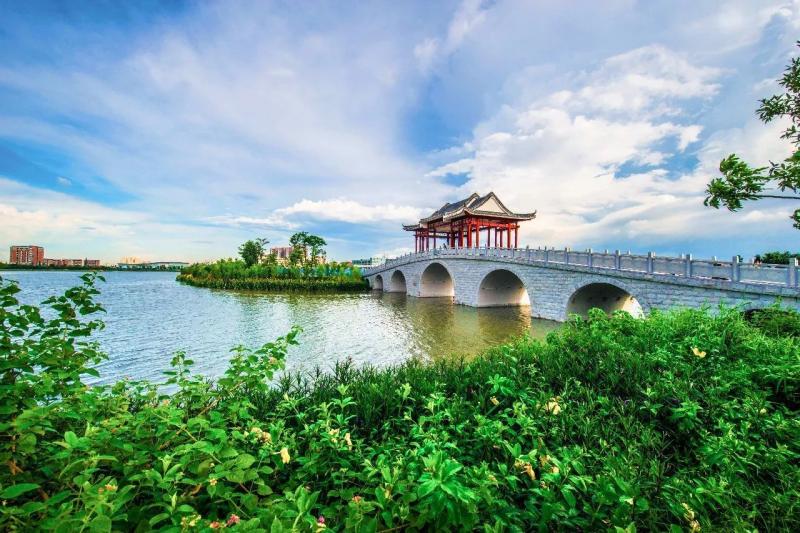 东莞湿地公园图片 第8张