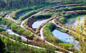 六盘水明湖湿地公园图片 第4张